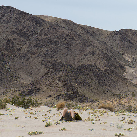 Mojave Road Trip 3.20.16-219