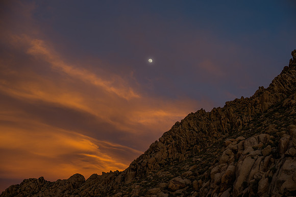 Mojave Road Trip 3.20.16-68