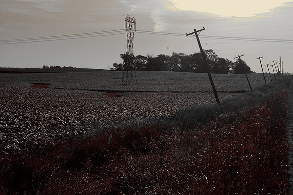 Poles lean from age along an Iowa Rd
