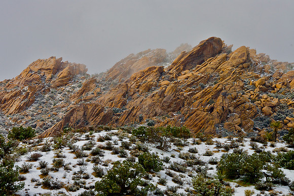 Christmas Tree Pass, Clark County