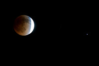 _DSC1872