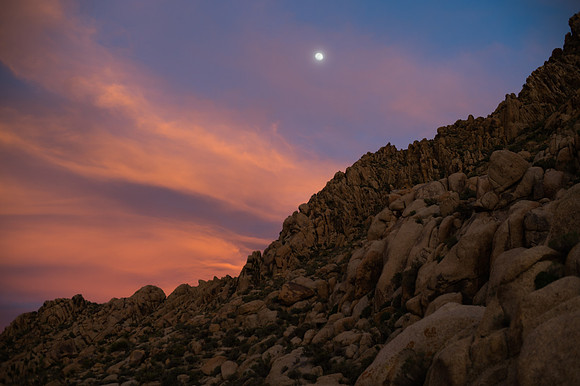 Mojave Road Trip 3.20.16-75
