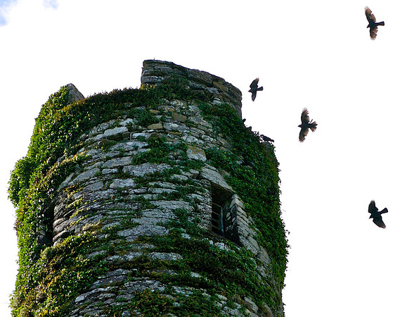Cork, Ireland