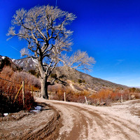Wheeler Pass, Clark County Nevada