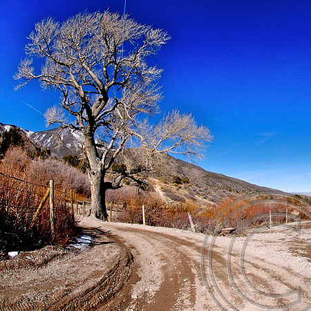 Wheeler Pass, Clark County Nevada