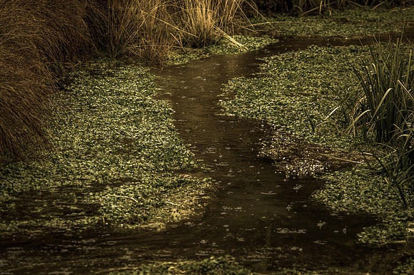October Road Trip 2015-80