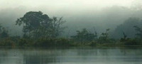 Rio Negro Brazil