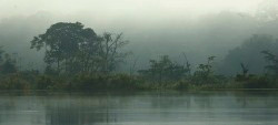 Rio Negro Brazil