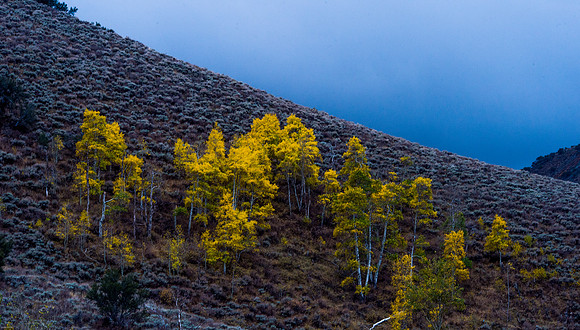 October Road Trip 2015-70