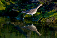 San Diego River, California