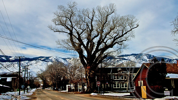 2009-12-26 at 00-22-09