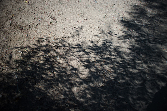 The Eclipse of 2017-256