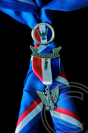 Eagle Award
