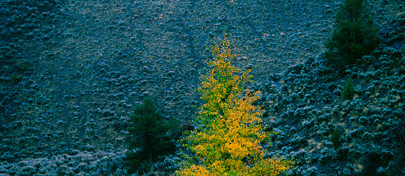 October Road Trip 2015-90