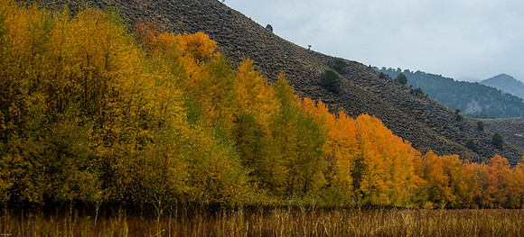 October Road Trip 2015-78