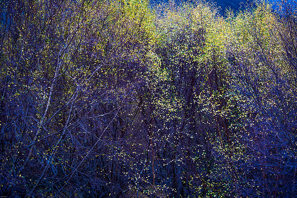 October Road Trip 2015-74