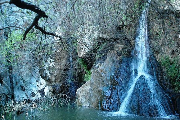 Darwin Fall.jpg