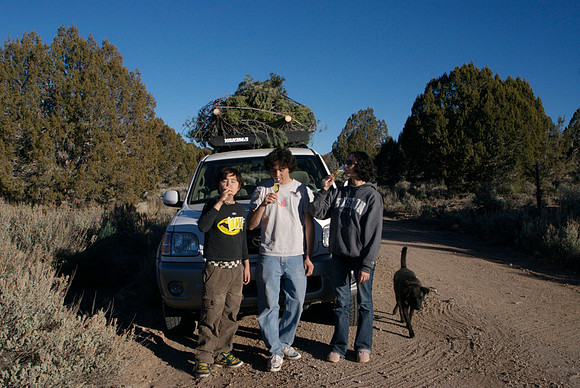 Chrismas Tree Hunt 2006
