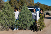 Chrismas Tree Hunt 2006
