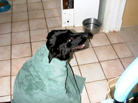 2001-12-10 11-17-54