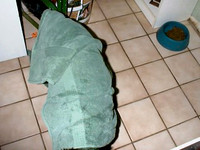 2001-12-10 11-17-54