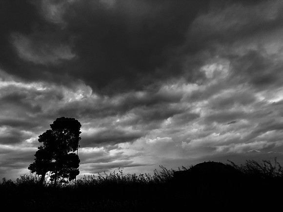 Backyard Sky