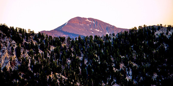 Mt. Charleston