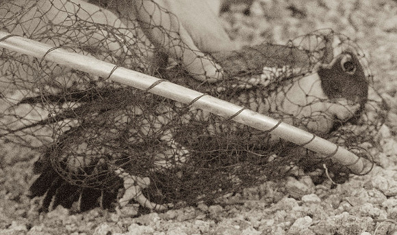 DSC_3368