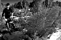 _DSC8454