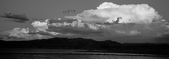 Great 8 Lake Mead-112