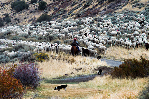 October Road Trip 2015-64