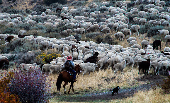 October Road Trip 2015-61