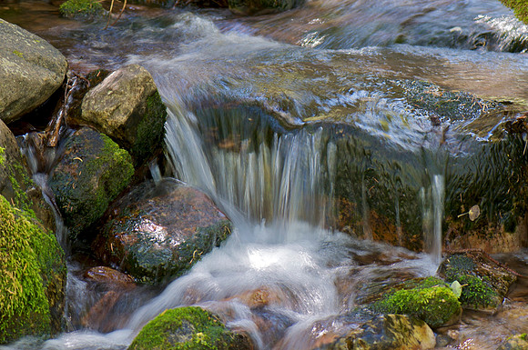 _DSC4059