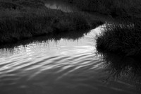 _DSC8139