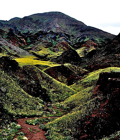 FLOWERED CANYON.JPG