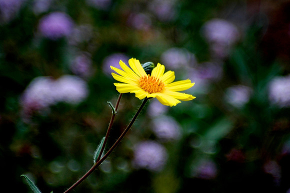 DSC_0058