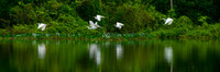Rio Junipero Brazil