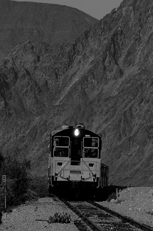 _DSC5915