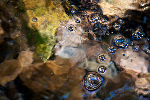 _DSC4085