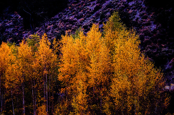 October Road Trip 2015-82