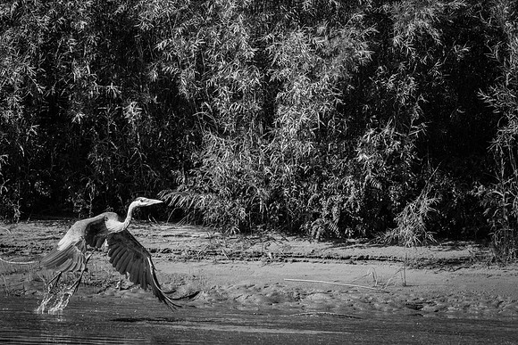 Green River Adventure August 2016-3718