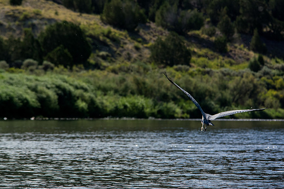 Green River Adventure August 2016-3669