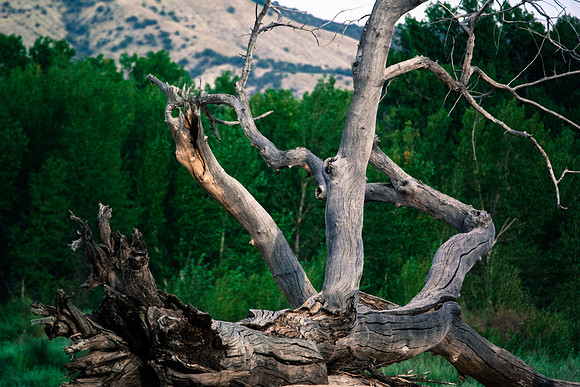 Green River Adventure August 2016-4388