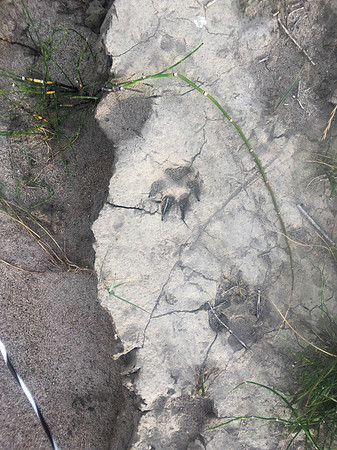 Green River Adventure August 2016-0435