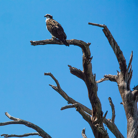 Green River Adventure August 2016-3145