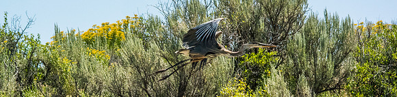 Green River Adventure August 2016-4283