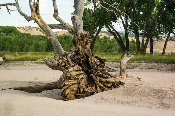 Green River Adventure August 2016-4419