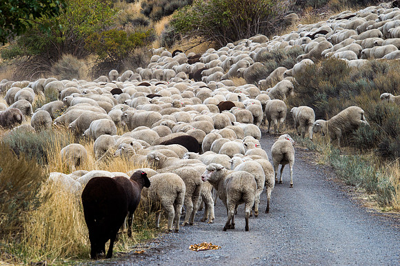 October Road Trip 2015-59