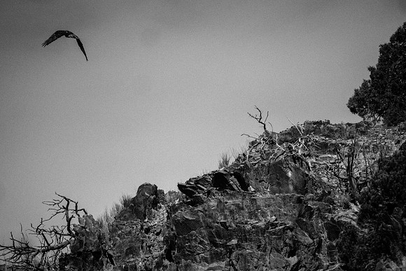 Green River Adventure August 2016-3861