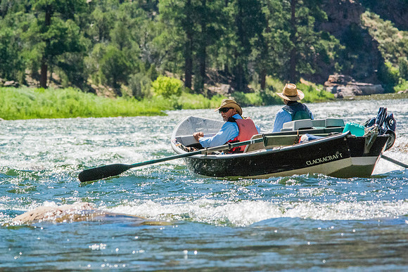 Green River Adventure August 2016-3319